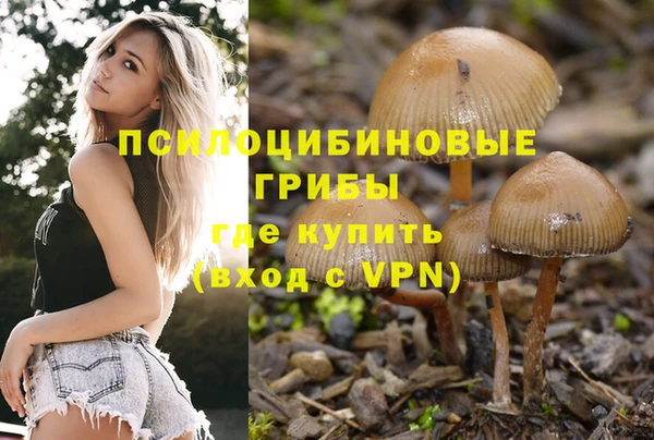 ПСИЛОЦИБИНОВЫЕ ГРИБЫ Богородицк