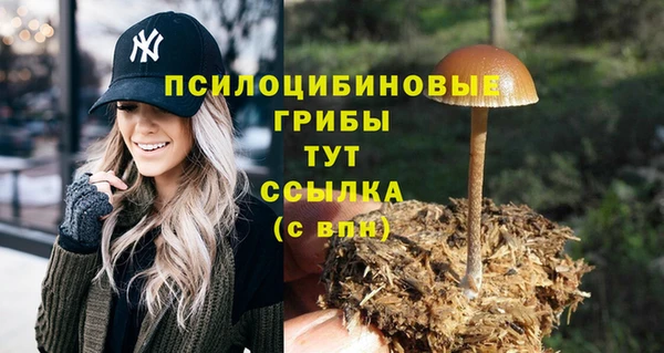 крисы Зеленокумск