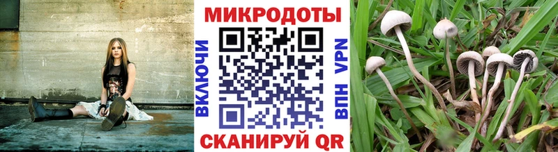 Псилоцибиновые грибы мухоморы  Велиж 
